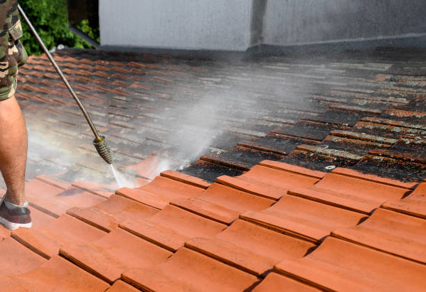 Best Affordable Pressure Washing  in Vilge St George, LA